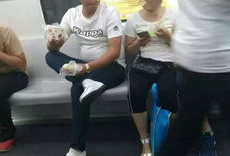 公共场合不雅视频,道德底线何在？